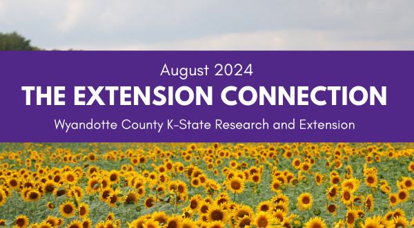 Extension Connection featuring the August Header with Sunflower Field